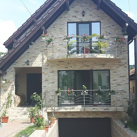Vila Alexia Hotel Calimanesti Ngoại thất bức ảnh