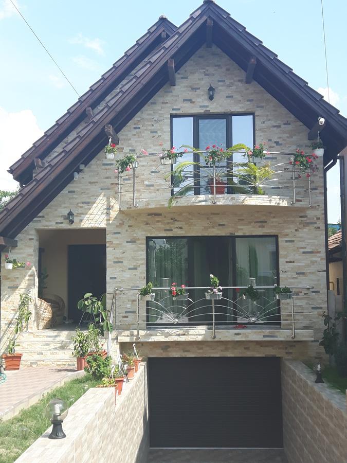 Vila Alexia Hotel Calimanesti Ngoại thất bức ảnh