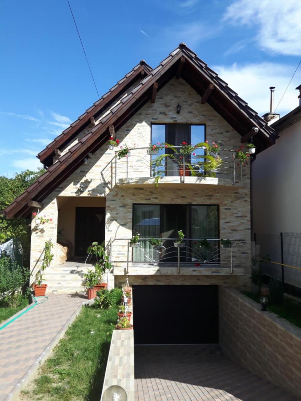Vila Alexia Hotel Calimanesti Ngoại thất bức ảnh