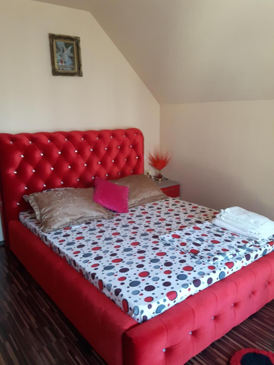 Vila Alexia Hotel Calimanesti Ngoại thất bức ảnh