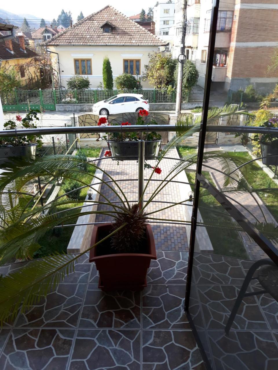 Vila Alexia Hotel Calimanesti Ngoại thất bức ảnh