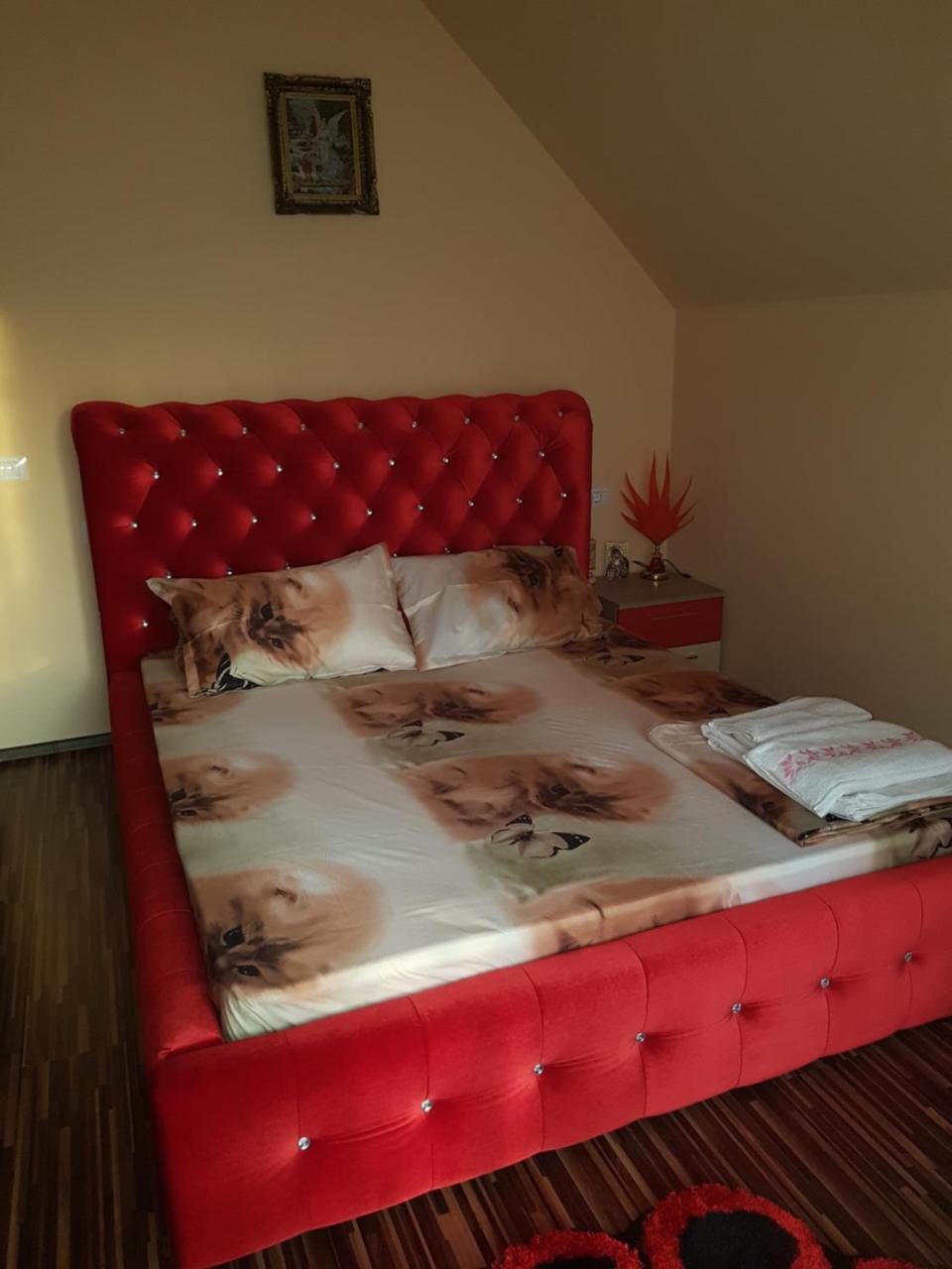 Vila Alexia Hotel Calimanesti Ngoại thất bức ảnh