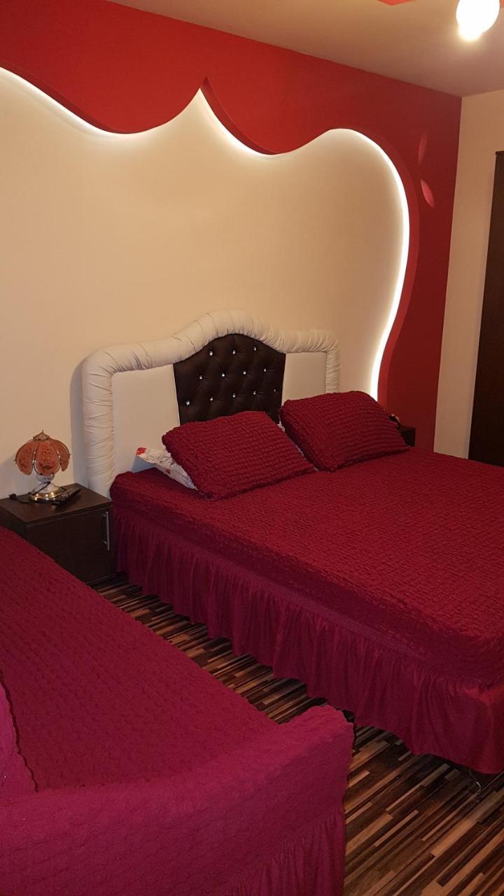 Vila Alexia Hotel Calimanesti Ngoại thất bức ảnh
